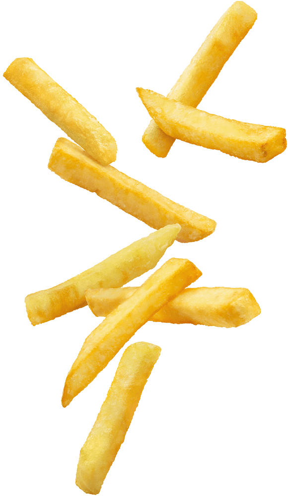 https://tastyburger.ch/wp-content/uploads/2021/01/floating_fries_01.png