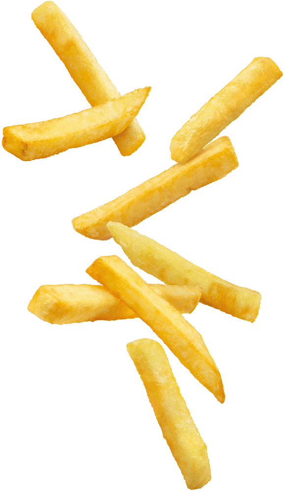 https://tastyburger.ch/wp-content/uploads/2021/01/floating_fries_02.png
